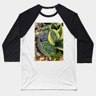 Succulent Beauties Baseball T-Shirt